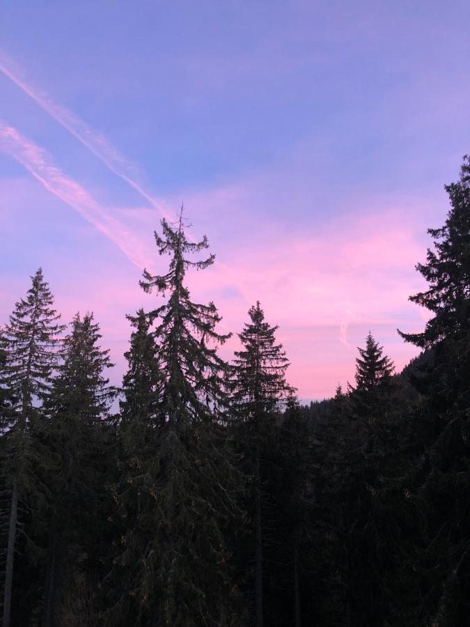 Luxury Aparthotel Studenets Pamporovo Exteriér fotografie